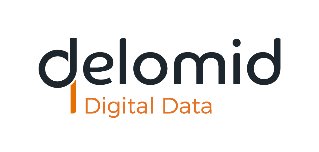 Delomid IT - Digital Data & Web Solutions